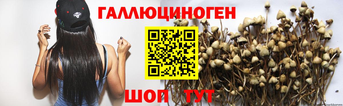 Новокубанск  Галлюциногенные грибы мицелий  Вход с VPN 